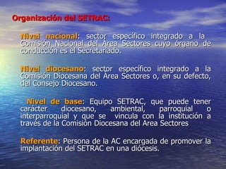 Organización del SETRAC:   Nivel nacional : sector específico integrado a la  Comisión Nacional del Área Sectores cuyo órgano de conducción es el Secretariado.  Nivel diocesano : sector específico integrado a la Comisión Diocesana del Área Sectores o, en su defecto, del Consejo Diocesano. Nivel de base : Equipo SETRAC, que puede tener carácter diocesano, ambiental, parroquial o interparroquial y que se  vincula con la institución a través de la Comisión Diocesana del Area Sectores Referente : Persona de la AC encargada de promover la implantación del SETRAC en una diócesis.   