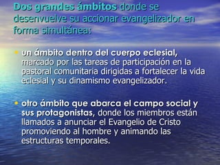 Dos grandes ámbitos  donde se desenvuelve su accionar evangelizador en forma simultánea: un ámbito dentro del cuerpo eclesial ,  marcado por las tareas de participación en la pastoral comunitaria dirigidas a fortalecer la vida eclesial y su dinamismo evangelizador. otro ámbito que abarca el campo social y sus protagonistas , donde los miembros están llamados a anunciar el Evangelio de Cristo promoviendo al hombre y animando las estructuras temporales. 