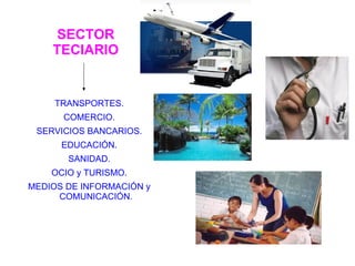 SECTOR TECIARIO TRANSPORTES. COMERCIO. SERVICIOS BANCARIOS. EDUCACIÓN. SANIDAD. OCIO y TURISMO. MEDIOS DE INFORMACIÓN y COMUNICACIÓN. 