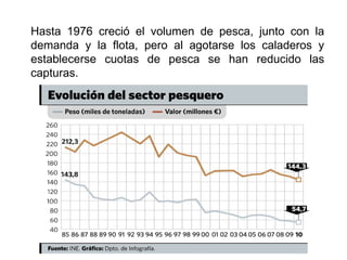 Hasta 1976 creció el volumen de pesca, junto con la
demanda y la flota, pero al agotarse los caladeros y
establecerse cuotas de pesca se han reducido las
capturas.
 