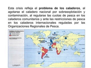 Esta crisis refleja el problema de los caladeros, al
agotarse el caladero nacional por sobreexplotación y
contaminación, al regularse las cuotas de pesca en los
caladeros comunitarios y ante las restricciones de pesca
en los caladeros internacionales reguladas por las
Organizaciones Regionales de Pesca.
 