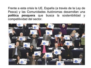 Frente a esta crisis la UE, España (a través de la Ley de
Pesca) y las Comunidades Autónomas desarrollan una
política pesquera que busca la sostenibilidad y
competitividad del sector.
 