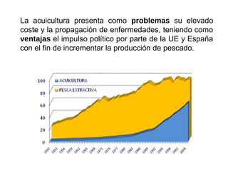La acuicultura presenta como problemas su elevado
coste y la propagación de enfermedades, teniendo como
ventajas el impulso político por parte de la UE y España
con el fin de incrementar la producción de pescado.
 