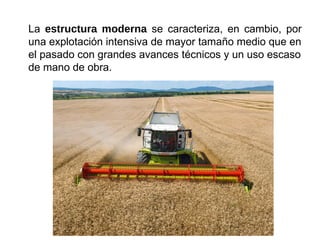 La estructura moderna se caracteriza, en cambio, por
una explotación intensiva de mayor tamaño medio que en
el pasado con grandes avances técnicos y un uso escaso
de mano de obra.
 