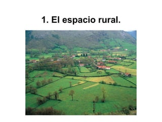 1. El espacio rural.
 