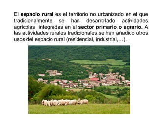 El espacio rural es el territorio no urbanizado en el que
tradicionalmente se han desarrollado actividades
agrícolas integradas en el sector primario o agrario. A
las actividades rurales tradicionales se han añadido otros
usos del espacio rural (residencial, industrial,…).
 