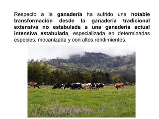 Respecto a la ganadería ha sufrido una notable
transformación desde la ganadería tradicional
extensiva no estabulada a una ganadería actual
intensiva estabulada, especializada en determinadas
especies, mecanizada y con altos rendimientos.
 