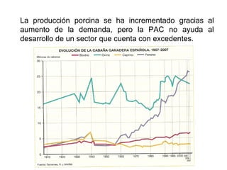 La producción porcina se ha incrementado gracias al
aumento de la demanda, pero la PAC no ayuda al
desarrollo de un sector que cuenta con excedentes.
 