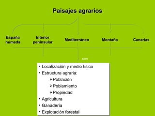 Paisajes agrariosPaisajes agrarios
EspañaEspaña
húmedahúmeda
InteriorInterior
peninsularpeninsular
MediterráneoMediterráneo CanariasCanariasMontañaMontaña
• Localización y medio físico
• Estructura agraria:
Población
Poblamiento
Propiedad
• Agricultura
• Ganadería
• Explotación forestal
• Localización y medio físico
• Estructura agraria:
Población
Poblamiento
Propiedad
• Agricultura
• Ganadería
• Explotación forestal
con
 