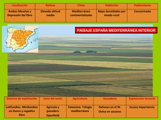 Localización Relieve Clima Población Poblamiento
Ambas Mesetas y
Depresión del Ebro
Elevada altitud
media
Mediterráneo
continentalizado
Bajas densidades por
éxodo rural
Concentrado
PAISAJE ESPAÑA MEDITERRÁNEA INTERIOR
Sistema de explotación Usos del suelo Agricultura Ganadería Explotación forestal
Latifundios. Minifundios
en Duero y regadíos
Ebro
Agrícola y
ganadero
Openfield
Extensiva. Trilogía
mediterránea
Dehesas en el W.
Ovina en secanos
Escasa importancia
 