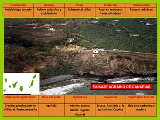Localización Relieve Clima Población Poblamiento
Archipiélago canario Relieve volcánico y
accidentado
Subtropical cálido Rural en retroceso
frente al turismo
Concentrado laxo
PAISAJE AGRARIO DE CANARIAS
Sistema de explotación Usos del suelo Agricultura Ganadería Explotación forestal
Grandes propiedades en
el litoral. Resto, pequeña
Agrícola Interior: secano
Litoral: regadío
(Export)
Escasa. Asociada a la
agricultura. Caprina
Uso para carboneo y
madera
 