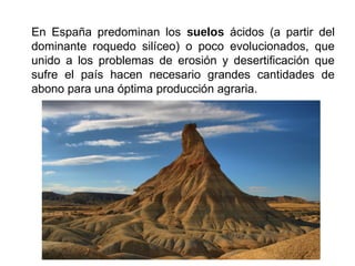 En España predominan los suelos ácidos (a partir del
dominante roquedo silíceo) o poco evolucionados, que
unido a los problemas de erosión y desertificación que
sufre el país hacen necesario grandes cantidades de
abono para una óptima producción agraria.
 