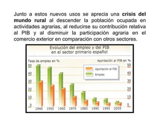 Junto a estos nuevos usos se aprecia una crisis del
mundo rural al descender la población ocupada en
actividades agrarias, al reducirse su contribución relativa
al PIB y al disminuir la participación agraria en el
comercio exterior en comparación con otros sectores.
 