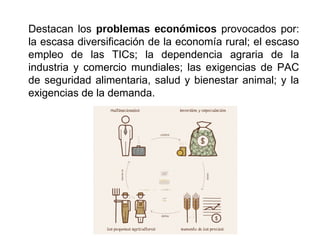 Destacan los problemas económicos provocados por:
la escasa diversificación de la economía rural; el escaso
empleo de las TICs; la dependencia agraria de la
industria y comercio mundiales; las exigencias de PAC
de seguridad alimentaria, salud y bienestar animal; y la
exigencias de la demanda.
 