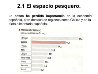 La pesca ha perdido importancia en la economía
española, pero destaca en regiones como Galicia y en la
dieta alimentaria española.
2.1 El espacio pesquero.
 
