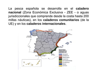 La pesca española se desarrolla en el caladero
nacional (Zona Económica Exclusiva - ZEE - o aguas
jurisdiccionales que comprende desde la costa hasta 200
millas náuticas), en los caladeros comunitarios (de la
UE) y en los caladeros internacionales.
 