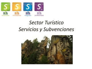 Sector Turístico 
Servicios y Subvenciones  