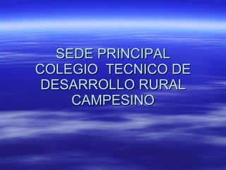 SEDE PRINCIPAL COLEGIO  TECNICO DE DESARROLLO RURAL CAMPESINO   