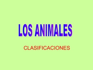 CLASIFICACIONES LOS ANIMALES 