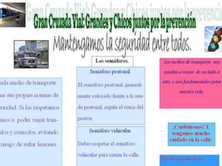 18la educación de tránsito se incorpore en el sistema educativo formalLos contenidos, fueron formulados con perspectiva de género, de derechos de los niños, con un enfoque de respeto por las etnias, de protección del ambiente. Incluyen conductas de riesgo, como el consumo de alcohol y otras drogas Todos estos elementos se consideran en los módulos educativos, que conforman el programa de la Brigada Vial. Se pretende, abordar el tema en forma apropiada a la edad y etapa del ciclo de vida de los estudiantes, es decir, desde preescolar hasta el final de la secundaria.