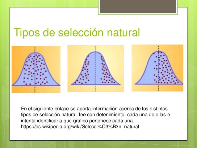 Tipos De Seleccion Natural Mecanismos Y Barreras www.slideshare.net