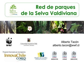 Red de parques  de la Selva Valdiviana Alberto Tacón  [email_address] Proyecto financiado por el programa SERNATUR CONAF SERCOTEC 