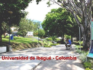 Universidad de Ibagué - Colombia
 