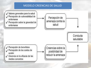 MODELO CREENCIAS DE SALUD
 