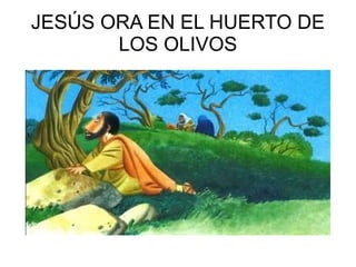 JESÚS ORA EN EL HUERTO DE LOS OLIVOS