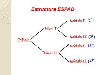 Estructura ESPAD
 