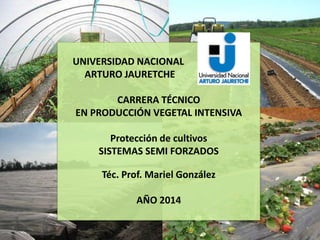 UNIVERSIDAD NACIONAL 
ARTURO JAURETCHE 
CARRERA TÉCNICO 
EN PRODUCCIÓN VEGETAL INTENSIVA 
Protección de cultivos 
SISTEMAS SEMI FORZADOS 
Téc. Prof. Mariel González 
AÑO 2014 
 