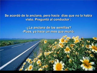 Ria SlidesSe acordó de la anciana, pero hacía  días que no la había visto. Preguntó al conductor :¿La anciana de las semillas? 