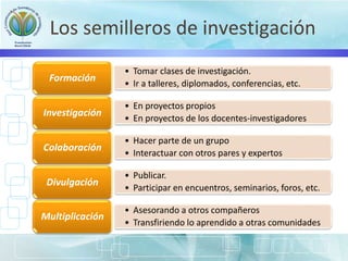 Los semilleros de investigación
• Tomar clases de investigación.
• Ir a talleres, diplomados, conferencias, etc.
Formación
• En proyectos propios
• En proyectos de los docentes-investigadores
Investigación
• Hacer parte de un grupo
• Interactuar con otros pares y expertos
Colaboración
• Publicar.
• Participar en encuentros, seminarios, foros, etc.
Divulgación
• Asesorando a otros compañeros
• Transfiriendo lo aprendido a otras comunidades
Multiplicación
 