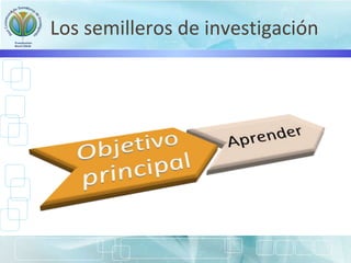 Los semilleros de investigación
 