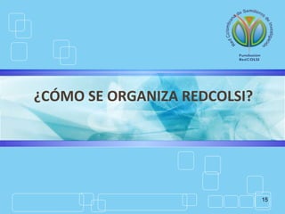 15
¿CÓMO SE ORGANIZA REDCOLSI?
 