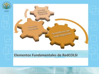 Elementos Fundamentales de RedCOLSI
 