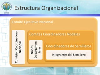 Estructura Organizacional
Comité Ejecutivo Nacional
ComisiónCoordinadora
Nacional
Comités Coordinadores Nodales
Nodos
Departamen
tales
Coordinadores de Semilleros
Integrantes del Semillero
 
