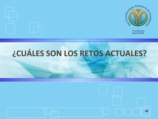 46
¿CUÁLES SON LOS RETOS ACTUALES?
 