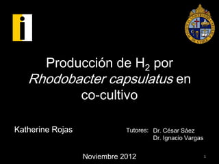 Producción de H2 por
   Rhodobacter capsulatus en
                  co-cultivo

Katherine Rojas              Tutores: Dr. César Sáez
                                      Dr. Ignacio Vargas


                  Noviembre 2012                           1
 