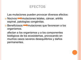 Las mutaciones pueden provocar diversos efectos:
 Nocivos mutaciones letales, cáncer, artritis
espinal, patologías congénitas.
 Beneficiosos mutaciones que favorecen a los
organismos.
afectan a los organismos y a los componentes
biológicos de los ecosistemas, provocando en
muchos casos severos desequilibrios y daños
permanentes.
EFECTOS
 
