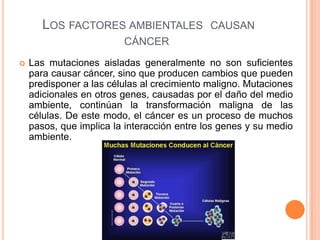 LOS FACTORES AMBIENTALES CAUSAN
CÁNCER
 Las mutaciones aisladas generalmente no son suficientes
para causar cáncer, sino que producen cambios que pueden
predisponer a las células al crecimiento maligno. Mutaciones
adicionales en otros genes, causadas por el daño del medio
ambiente, continúan la transformación maligna de las
células. De este modo, el cáncer es un proceso de muchos
pasos, que implica la interacción entre los genes y su medio
ambiente.
 