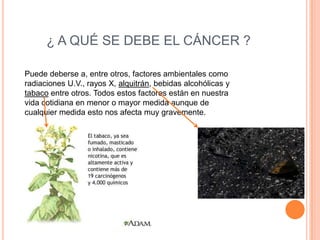 ¿ A QUÉ SE DEBE EL CÁNCER ?
Puede deberse a, entre otros, factores ambientales como
radiaciones U.V., rayos X, alquitrán, bebidas alcohólicas y
tabaco entre otros. Todos estos factores están en nuestra
vida cotidiana en menor o mayor medida aunque de
cualquier medida esto nos afecta muy gravemente.
 
