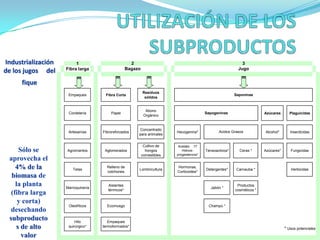 UTILIZACIÓN DE LOS SUBPRODUCTOSIndustrialización de los jugos     del fiqueSólo se aprovecha el 4% de la biomasa de la planta (fibra larga y corta) desechando subproductos de alto valor