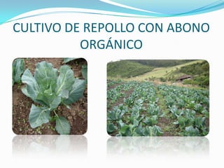 FORMACIÓN DE VOLCANES