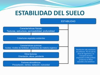 COMPARACIÓN CUALITATIVA DEL CULTIVO DE ACELGACULTIVO DE ACELGA SIN ABONO ORGÁNICO
