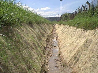 CULTIVO DE REPOLLO CON ABONO ORGÁNICO