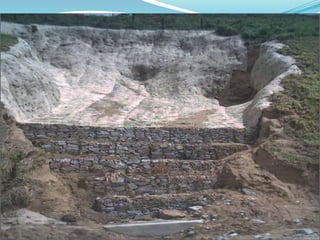 ELABORACION DE BIOMANTOS PARA CONTROL DE LA EROSIONEROSION: Es el inicio de movimiento de partículas de suelo causados por agentes naturales:    Como agua, aire, y el hombre con altos índices de perdidas de vidas humanas, altos costos económicos y grandes daños ambientales.