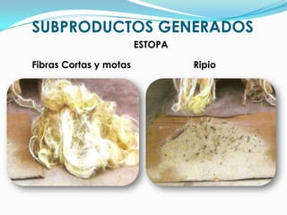 SUBPRODUCTOS GENERADOS ESTOPARipioFibras Cortas y motas