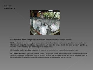 Proceso Productivo 3.1  Adquisici ó n de los conejos:  la cual ser í a de 4 conejos machos y 6 conejos hembras. 3.2  Reproducci ó n de los conejos:  los conejos machos fecundar í an las hembras y cada una de las tendr í an 12 cr í as para seguirlos reproducen esperar í amos un lapso de tiempo donde las cr í as ya est é n grandes y podamos sacar una pareja que est é  lista para la reproducci ó n. 3.3  Cuidados de los conejos:  todo ser á  de acuerdo al ambiente y en el que ellos se acoplen mas 3.4  Comercializaci ó n:  para los conejos habr á n  grupos los cuales ser á n destinados a comercializaci ó n de carne los cuales los venderemos pero el proceso lo har á n las empresas y nos devolver á n las pieles para la comercializaci ó n de las pieles serian contactando nuevas empresas a las que le interese. 