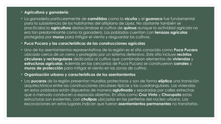 • Agricultura y ganadería
• La ganadería particularmente de camélidos como la vicuña y el guanaco fue fundamental
para la subsistencia de los habitantes del altiplano de Lípez. No obstante también se
practicaba la agricultura destacándose el cultivo de quinua aunque la actividad agrícola no
era tan predominante como la ganadera. Los poblados cuentan con terrazas agrícolas
protegidas por muros para mitigar el viento y resguardar los cultivos.
• Puca Pucara y las características de las construcciones agrícolas
• Uno de los asentamientos representativos de la región es el sitio conocido como Puca Pucara
ubicado cerca de un cerro y protegido por un sistema defensivo. Este sitio incluye recintos
circulares y rectangulares dedicados al cultivo que combinaban elementos de viviendas y
estructuras agrícolas. Además en las cercanías de Puca Pucara se construyeron corrales y
muros de protección para mitigar el viento en las zonas de cultivo.
• Organización urbana y características de los asentamientos
• Las pucaras de la región presentan murallas protectoras y son de forma elíptica una transición
arquitectónica entre las construcciones circulares típicas y las cuadrangulares. Las viviendas
en estos poblados están dispuestas de manera aglutinada y separadas por calles estrechas
que a menudo conducen a espacios abiertos. En sitios como Cruz Vinto y Churupata estas
estructuras son evidentes, con chullpas ubicadas en las periferias del núcleo urbano. Las
excavaciones en estos lugares indican que fueron asentamientos permanentes no transitorios.
 
